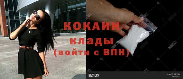 индика Балабаново