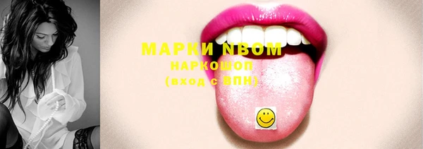 индика Балабаново