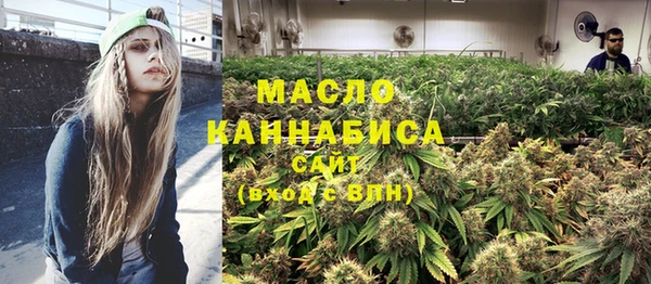 индика Балабаново